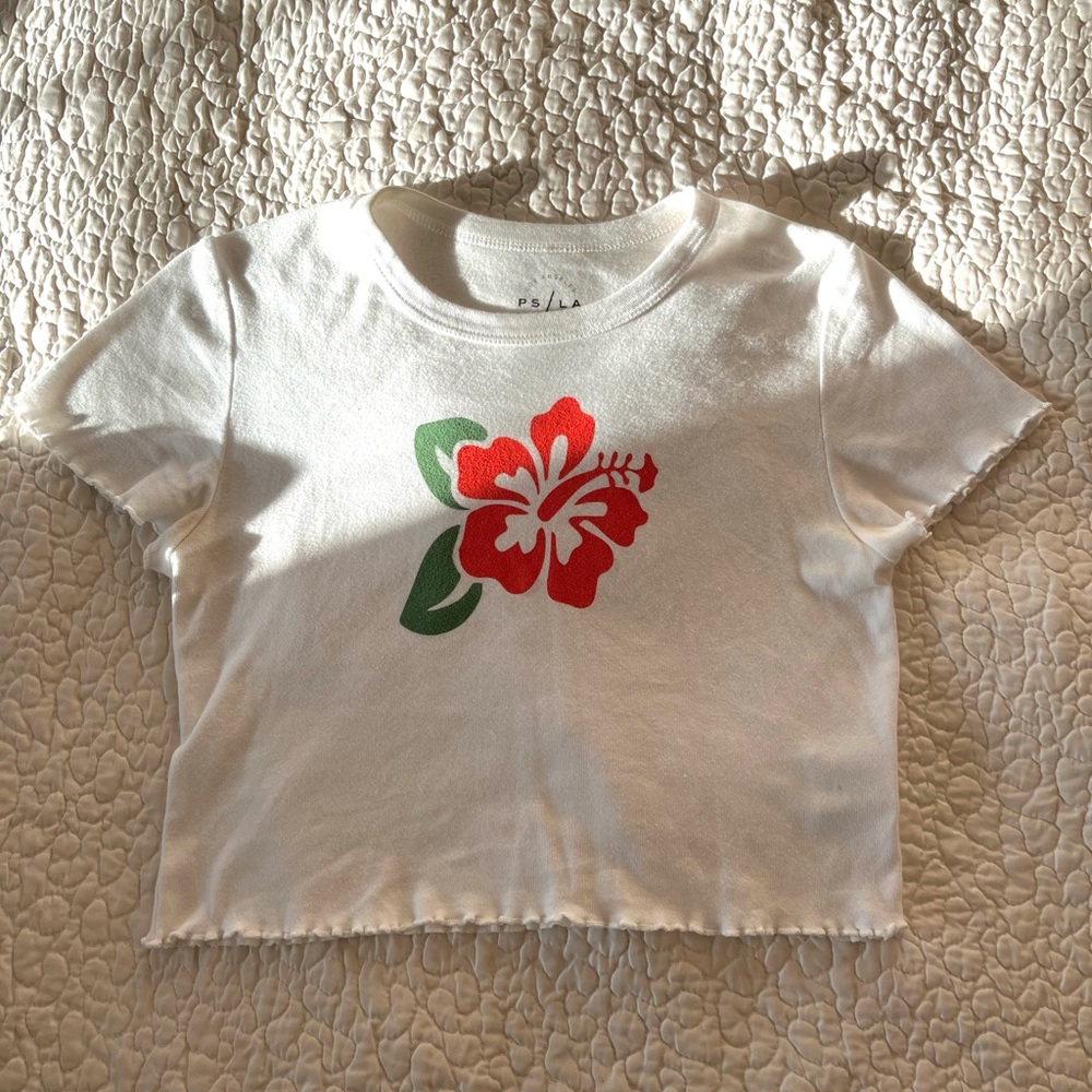 Pacsun crop top